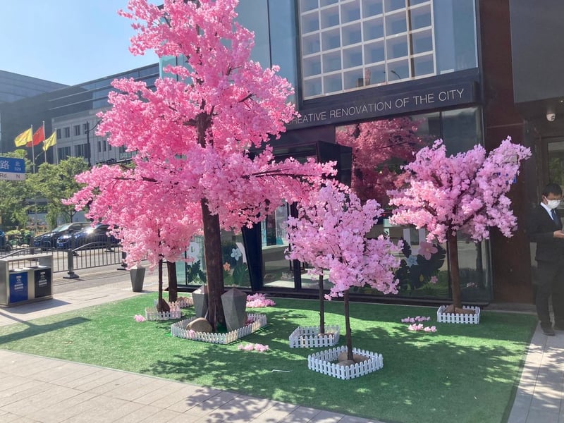 Photograph 1 from Cherry Blossoms at the Mall