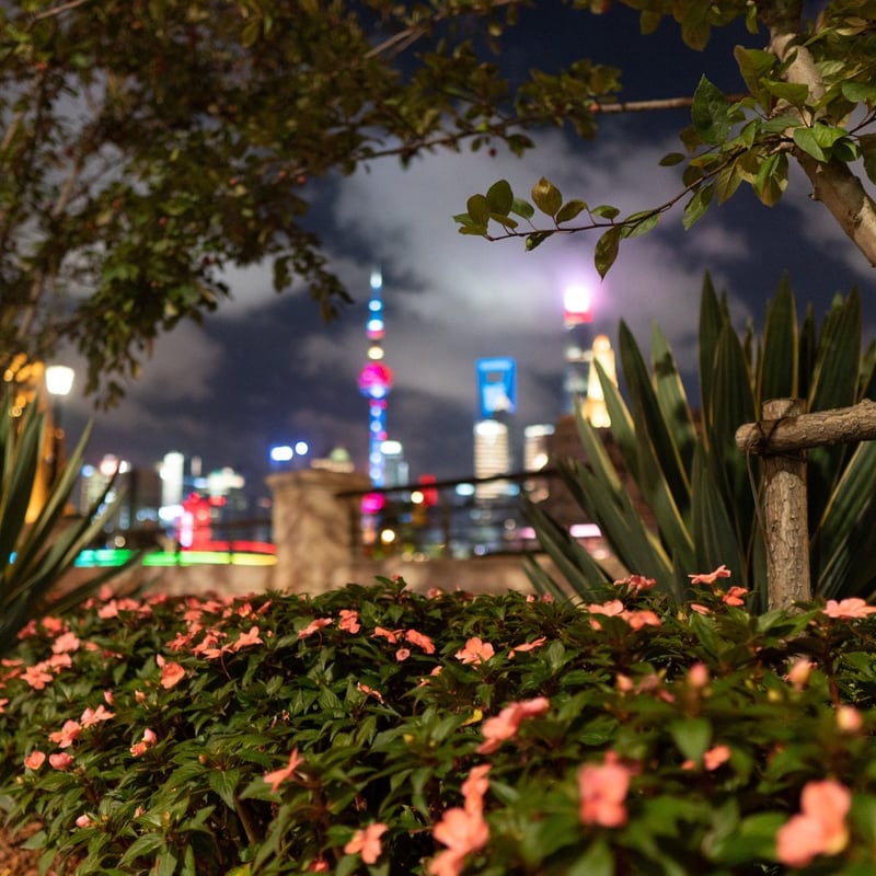 Photograph 1 from Lujiazui Skyline