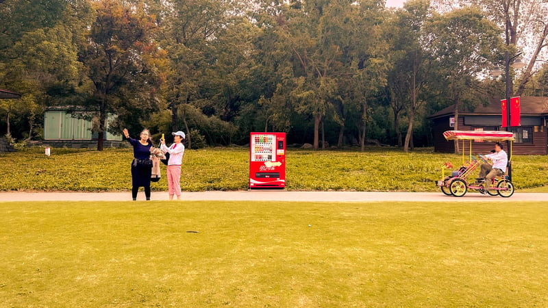 Vending Machine in a Field