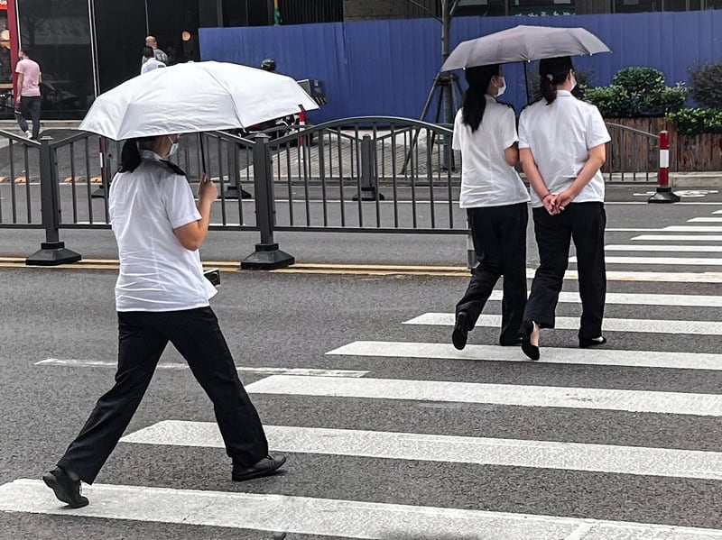 Parasols