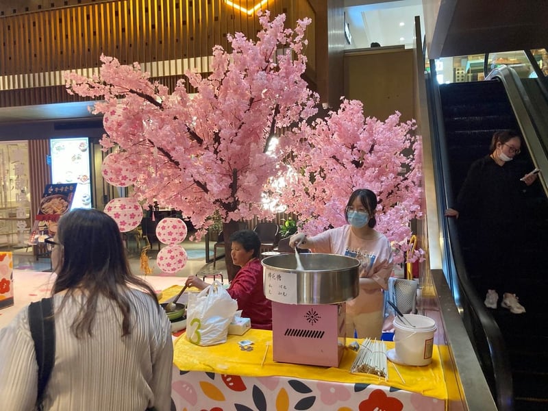 Photograph 2 from Cherry Blossoms at the Mall