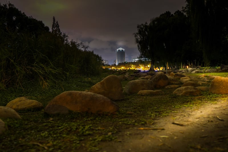 Photograph 1 from Mirror Lake at Night