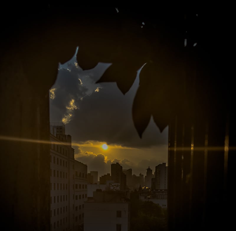 Photograph 4 from Rooftop Sunset