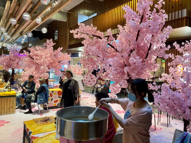 Photograph 3 from Cherry Blossoms at the Mall