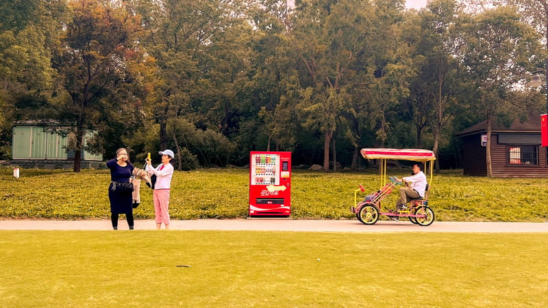 Vending Machine in a Field
