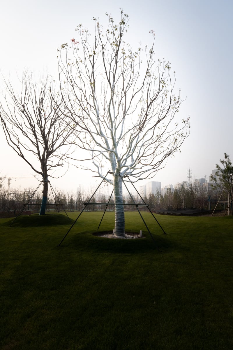 The White Tree